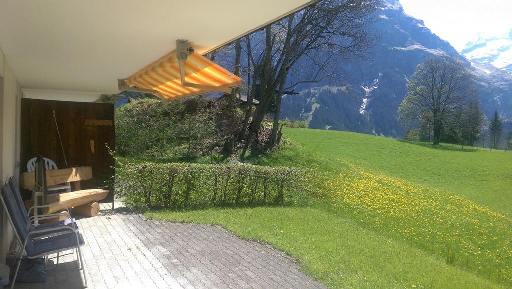 Alpine Boutique Apartments, Grindelwald gletscher Chambre photo