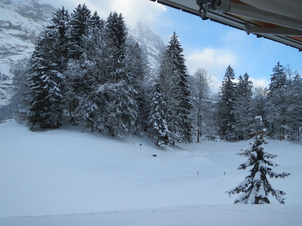Alpine Boutique Apartments, Grindelwald gletscher Chambre photo