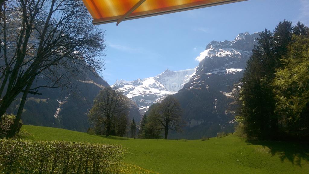 Alpine Boutique Apartments, Grindelwald gletscher Chambre photo