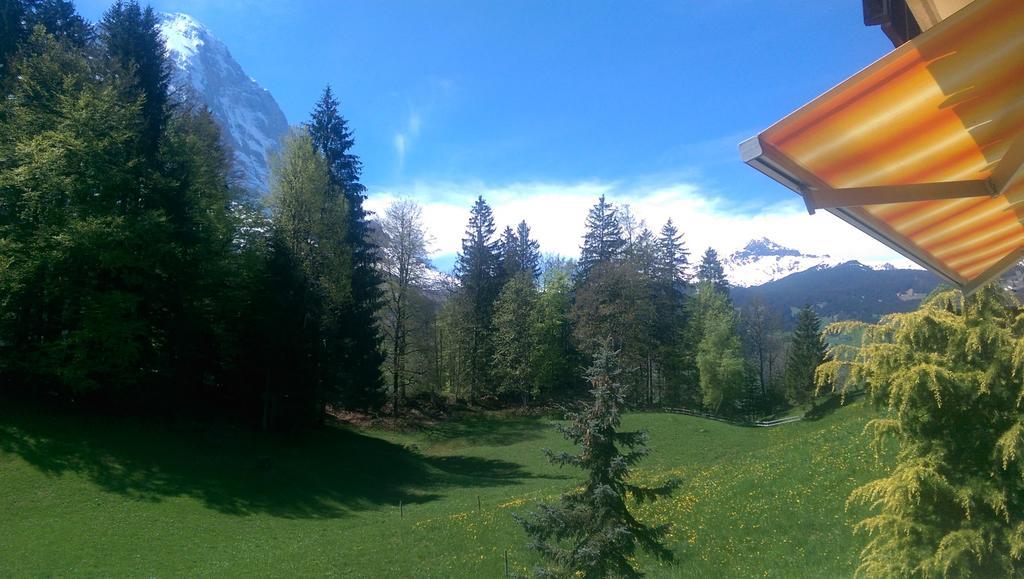 Alpine Boutique Apartments, Grindelwald gletscher Chambre photo
