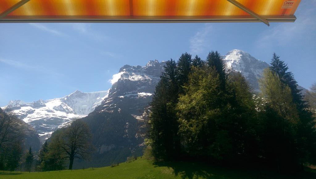 Alpine Boutique Apartments, Grindelwald gletscher Chambre photo