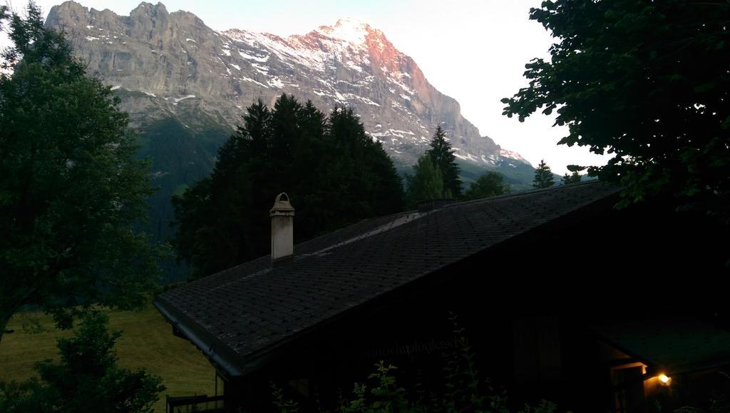 Alpine Boutique Apartments, Grindelwald gletscher Chambre photo