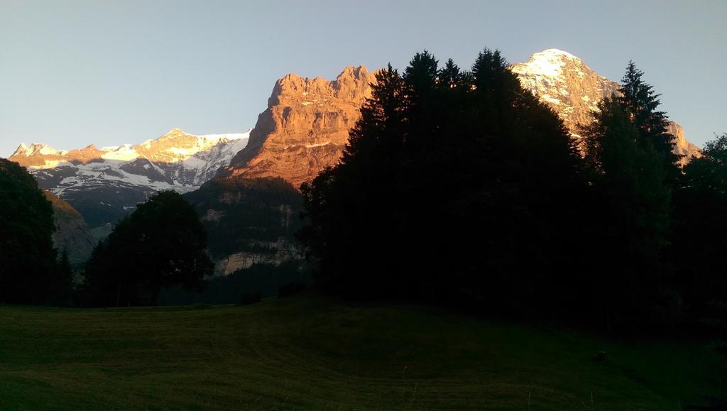 Alpine Boutique Apartments, Grindelwald gletscher Chambre photo