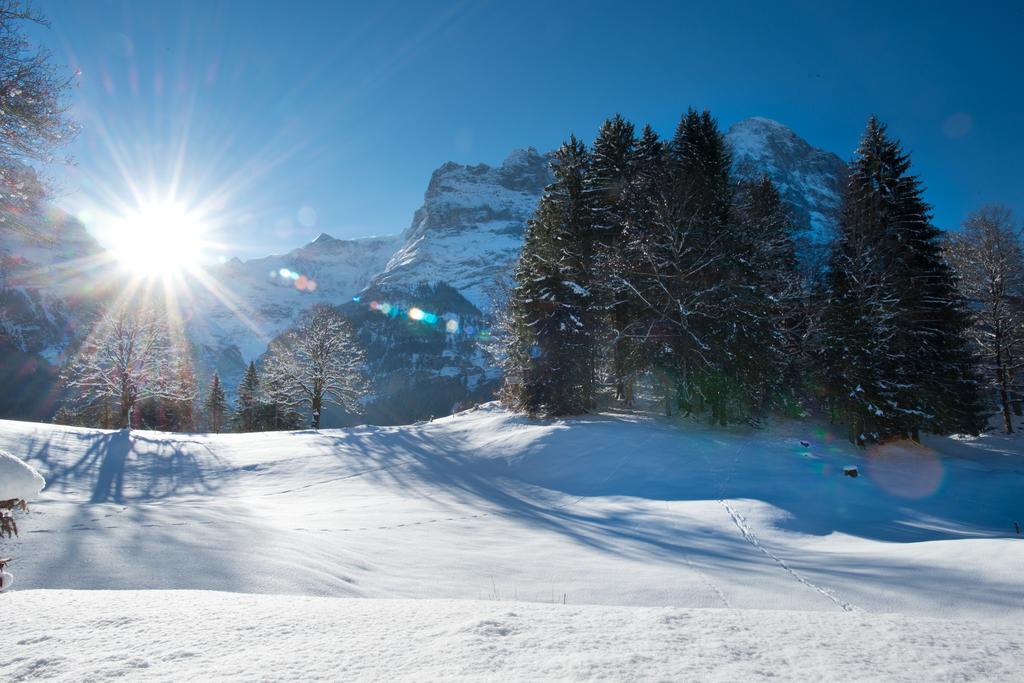 Alpine Boutique Apartments, Grindelwald gletscher Chambre photo