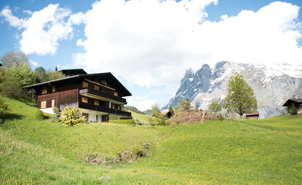 Alpine Boutique Apartments, Grindelwald gletscher Extérieur photo